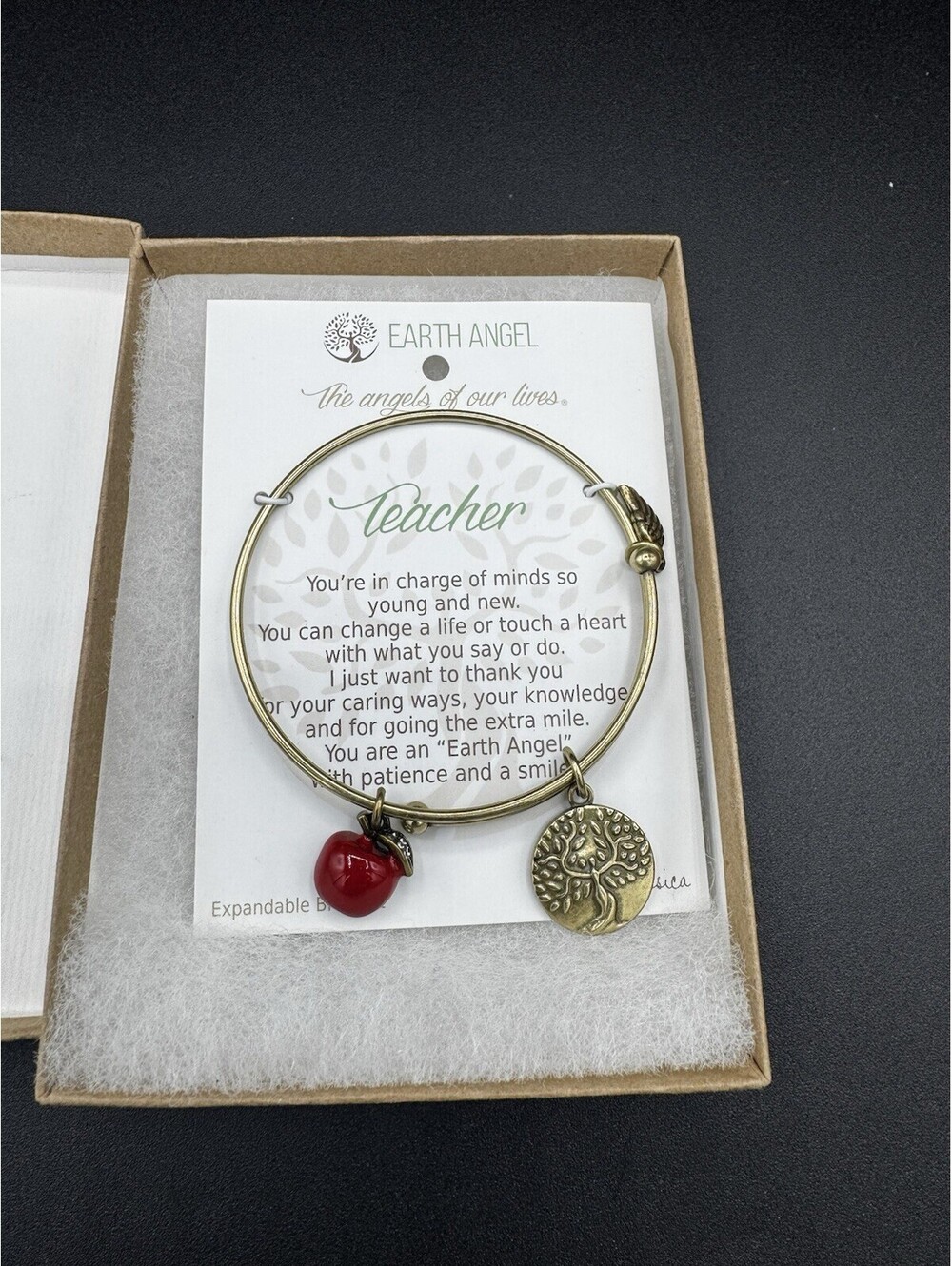 Earth Angel Teacher Expandable Bracelet Gift Apple Charm New In Box End of Year